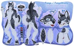 2017 4_toes 5_fingers andromorph anthro ass blue_eyes canid canine canis claws collar cuntboy curled_tail domestic_dog fangzwusky feet fingers foxysoul fur genitals grey_body grey_fur growling husky hybrid intersex mammal markings model_sheet multicolored_body multicolored_fur nordic_sled_dog pussy sharp_teeth spitz teeth text toe_claws toes toned toned_cuntboy tongue tongue_out wolfdog