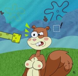 breasts duo female genitals hi_res male mammal marine nickelodeon nipples no_humans nude penis rodent sandy_cheeks sciurid sea_sponge smooth_skin spongebob_squarepants spongebob_squarepants_(character) tree_squirrel unclescooter