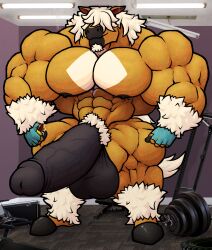 abs anthro balls biceps big_muscles big_penis clothing equid equine genitals gloves gym hair hair_over_eyes handwear hi_res horse huge_cock huge_muscles hyper hyper_genitalia hyper_muscles hyper_penis inside male mammal mcrugermasta muscular muscular_male nipples nude pecs penis pubes solo tail