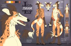 4_toes 5_fingers absurd_res animal_genitalia animal_penis anthro areola arm_tuft ass balls big_butt black_claws black_nose borzoi borzopard brown_body brown_ears brown_eyebrows brown_fur brown_fur_markings brown_spots brown_stripes butt_heart canid canine canis cheek_tail cheetah claws countershade_fur countershade_torso countershading domestic_dog eyebrows fangs feet felid feline fingers front_and_back front_view fur genitals gloves_(marking) grey_background hair head_tuft hi_res hunting_dog hybrid knot knotted_penis leg_markings liam_(acidonix) long_tail male mammal mane mane_hair markings model_sheet multicolored_body multicolored_fur multicolored_tail nipples nude open_mouth orange_body orange_eyes orange_fur paws penile penile_spines penis pink_areola pink_genitals pink_nipples pink_penis pink_tongue pose rear_view reference_image shoulder_tuft sighthound simple_background slim socks_(marking) solo spiked_penis spikes spikes_(anatomy) spots spotted_body spotted_fur standing stripes tail tail_markings tail_tuft teeth text toes tofuka_hirose tongue tuft two_tone_body two_tone_fur white_body white_fur white_sclera