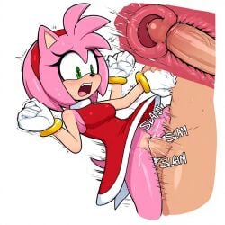 amy rose from sonic (series)
