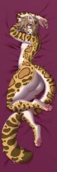 1:3 absurd_res anthro ass balls blue_eyes brown_hair chatski dakimakura dakimakura_design ear_piercing ear_ring eyewear fangs felid feline femboy gay gay_anal gay_male gay_sex genitals glasses hair hi_res homosexual homosexual_male homosexual_sex leopardus male male/male male_only male_penetrated male_penetrating male_penetrating_male mammal nonbinary_(lore) ocelot othello_(othelloocelot) pawpads paws piercing ring_piercing sabertooth_(anatomy) solo teeth wearing_glasses