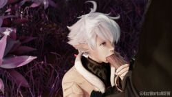 3d 3d_animation 3d_model 3d_render alisaie_leveilleur big_penis blowjob blowjob_face blowjob_only blue_eyes clothed cock dick elezen elf elf_ears elf_female elf_girl ffxiv final_fantasy_xiv hand_on_penis hi_res high_resolution highres kazworksnsfw light-skinned_male lipstick multiple_views no_sound npc outdoors outside penis pov pov_eye_contact red_lipstick self_upload square_enix sucking_penis tagme video warrior_of_light_(ff14) white_hair woods