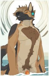 2019 acacia_(wolfscented) anthro bite biting_lip black_body black_fur black_nose blue_eyes blush brown_body brown_fur brown_hair brown_inner_ear_fluff canid canine canis digital_drawing_(artwork) digital_media_(artwork) domestic_dog ear_piercing english_description fluffy fluffy_hair fur gauged_ear genitals german_shepherd hair hair_over_eye herding_dog hi_res humanoid_hands inner_ear_fluff looking_at_viewer low-angle_view male mammal outdoor_background outdoor_nudity partially_submerged pastoral_dog penis piercing solo standing_in_water sun tuft water wolfscented