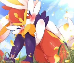 cinderace from nintendo by prrrrrrmine