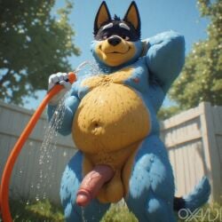 ai_generated anthro backyard balls bandit_heeler bluey_(series) bluey_(show) buff buff_male chubby chubby_male dilf exposure fence furry hose humanoid_penis male mature mature_male muscular muscular_male nudity overweight oxandi penis water wet
