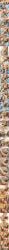 1boy1girl 1girls ai_assisted anal anal_creampie anal_cumshot anal_insertion anal_orgasm anal_penetration anal_sex big_breasts big_penis bitch blonde-haired_female blonde_female blowjob blowjob_focus cammy_white cum_in_ass cum_in_mouth cum_in_throat cum_inside cum_on_tongue cum_swallow dat_ass deep_blowjob deep_penetration deepthroat fat_male fellatio_gesture freemale handjob handjob_while_sucking handjob_with_gloves highleg_leotard leotard leotard_aside long_legs oral oral_masturbation oral_penetration oral_sex perfect_ass perfect_body perfect_boobs perfect_legs perfection pool pool_sex red_beret sauna sauna_sex sexy sexy_ass sexy_body sexy_female shower slutty_female street_fighter street_fighter_6 street_fighter_alpha street_fighter_alpha_3 street_fighter_ii street_fighter_iii street_fighter_iii:_3rd_strike street_fighter_iv street_fighter_v sucking_off ugly_bastard ugly_man