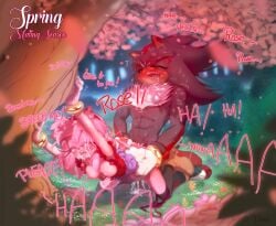 amy_rose shadow_the_hedgehog sonic_(series) sonic_the_hedgehog_(series) vinnie_(thornonarose)