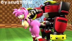 amy_rose animated e-123_omega sonic_(series) sonic_the_hedgehog_(series) source_filmmaker tagme video