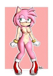 amy_rose anthro anthro_female female female_only mobian_(species) mobian_hedgehog naked naked_female nude nude_anthro nude_female sonic_(series) sonic_the_hedgehog_(series) xenrevv