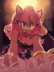 amy_rose shadow_the_hedgehog sonic_(series) sonic_the_hedgehog_(series) vinnie_(thornonarose)