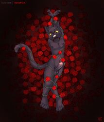 absurd_res angry balls black_body black_fur bound caught erection felid feline flower fur genitals hi_res katxfish lying male male_only mammal nude on_back paws plant rope rose_(flower) solo yellow_eyes