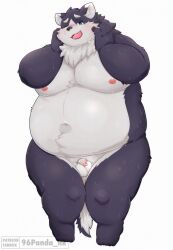 2024 96panda anthro balls belly big_belly blush bodily_fluids canid canine canis domestic_dog flaccid genital_fluids genitals harima hi_res kemono male mammal moobs navel nipples overweight overweight_male penis precum simple_background small_penis solo tamacolle white_background