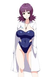 big_breast big_breasts blue_swimsuit blue_swimwear brown_eyes game_freak huge_breast huge_breasts lab_coat labcoat large_breast large_breasts nintendo one-piece_swimsuit one_piece_swimsuit philena_ivy pokemon pokemon_professor pokemon_rgby purple_hair purple_hair_female swimsuit swimwear tawashi1623