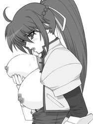 breast_grab breast_lift breasts huge_breasts long_hair lyrical_nanoha mahou_shoujo_lyrical_nanoha mahou_shoujo_lyrical_nanoha_a&#039;s monochrome nipples ponytail shichimenchou signum tied_hair