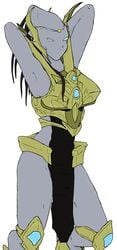 alien alien_girl alien_humanoid armored_female female female_focus female_only methados protoss selendis starcraft tagme