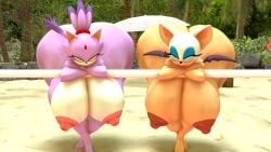 2girls 3d beach beach_background blaze_the_cat breasts_bigger_than_head huge_ass huge_breasts hyper hyper_ass hyper_breasts jealous rouge_the_bat showing_breasts thedoppel