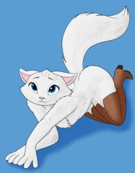 ass ass_up begging boots clothing crossed_arms cute_expression domestic_cat dulcinea felid feline felis footwear hi_res horny_(disambiguation) looking_at_viewer mammal unknown_artist