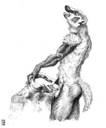 american_badger anthro badger balls bedroom_eyes bodily_fluids cum cum_in_mouth cum_inside duo erection european_badger fur genital_fluids genitals hi_res holding_chin holding_head looking_up male male/male male_penetrated male_penetrating male_penetrating_male mammal meles momamo mustelid musteline narrowed_eyes nude open_mouth oral penetration penile penis seductive sex simple_background tongue tongue_out traditional_media_(artwork)