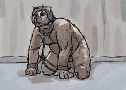 Animal Genitalia Rule 34 Image