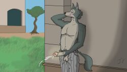 anthro beastars big_penis blush bodily_fluids canid canine canis closed_eyes cum dirty ejaculation exhibitionism foreskin genital_fluids genitals hi_res legoshi_(beastars) male male_only mammal masturbation mrramone penis public public_nudity shirtless shirtless_male smegma solo solo_focus tail_motion tailwag tongue tongue_out wolf