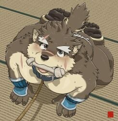 1boy all_fours animal_ear_fluff anthro ass bara barefoot belly bone bone_in_mouth canid canine canis dog_boy domestic_dog fat fundoshi furry furry_male gauntlets japanese_clothes looking_at_viewer looking_up male male_focus moritaka notched_ear open_mouth pawpads pectorals plump rossciaco scar scar_across_eyebrow scar_on_cheek scar_on_face scar_on_nose scar_on_shoulder smile sweat tail tatami thick_eyebrows tokyo_afterschool_summoners tongue tongue_out topless_male very_sweaty yaoi