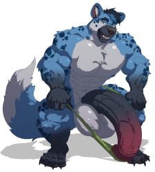 anthro balls barazoku big_balls big_penis black_hair black_penis blue_body blue_fur blue_hair brown_eyes dust_yang erection facial_spots fangs front_view fur genitals grey_body grey_fur hair hi_res huge_balls huge_cock hyena looking_at_viewer male male_anthro mammal multicolored_penis muscular muscular_anthro muscular_male open_mouth penis red_penis red_tongue solo spotted_arms spotted_face spotted_legs standing teeth tongue two_tone_penis vein veiny_penis