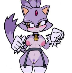 blaze the cat from sega by woahaldo