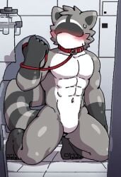 abs ai_generated blush blush_lines changed_(video_game) civitai collar eyeless eyeless_character eyeless_male full-length_portrait grey_body grey_fur inside kneeling laboratory leash leash_pull leashed_collar male male_only mammal marigil mouthless mouthless_male muscular muscular_anthro muscular_male navel noseless nude nude_anthro nude_male pecs procyonid raccoon raccoon_(changed) red_collar solo two_tone_body two_tone_fur two_tone_tail