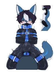 absurd_res anal anal_sex anthro ass ball_gag blush bondage bondage bound bulge canid canine canis chastity_bulge chastity_device clothed clothing collar cuff_(restraint) digital_media_(artwork) dildo drone dronification fur gag gagged genitals hair hi_res latex latex_clothing latex_skinsuit latex_straitjacket lock_bulge lock_symbol male male_penetrated mammal null_bulge open_mouth penetration penile penis restraints rubber_clothing sex sex_toy simple_background skinsuit solo stomach_bulge straitjacket submissive submissive_male sybian tail takanuri tight_clothing