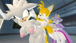 3d blaze_the_cat cuckquean feline fox hedgehog netorare ntr rule_63 silver_the_hedgehog silverknight395 silvia_the_hedgehog sonic_(series) sonic_the_hedgehog_(series) tagme tails_the_fox