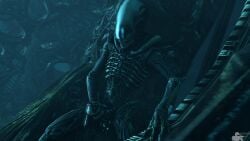 1boy alien alien_(franchise) alien_boy bravo44 bravo44_(artist) genital_fluids male male_only male_xenomorph masturbation penis solo xenomorph