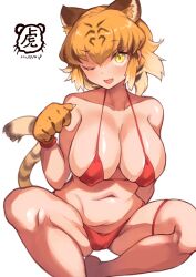 absurdres animal_ears animal_hands bengal_tiger_(kemono_friends) bikini blonde_hair breasts eipelppa female gloves highres iepelppa iparuputsua ipelppa kemono kemono_friends large_breasts micro_bikini oerba_yun_fang open_mouth paw_gloves paws red_bikini short_hair simple_background skin_fang slit_pupils solo spread_legs squatting swimsuit tail tiger_ears tiger_girl tiger_tail white_background yellow_eyes