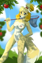 2020 5_fingers animal_crossing anthro apple blonde_hair breasts bug_net canid canine canis detailed_background domestic_dog female fingers fur furry furry_only genitals hair hi_res isabelle_(animal_crossing) looking_at_viewer mammal multicolored_body multicolored_fur naked nintendo nipples nude outside pussy signature solo tail two_tone_body two_tone_fur v7eemx video_games