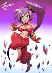 1girls abs belly_dancer belly_dancer_outfit big_breasts blue_eyes breasts cleavage cute dark-skinned_female dark_skin earrings eye_contact female female_focus female_only front_view genie large_breasts long_ears long_hair looking_at_viewer midriff pointy_ears purple_hair shantae shantae_(character) smile smiling smiling_at_viewer smooth_skin solo solo_female tagme tiara tsuki_wani tsukiwani tukiwani wayforward