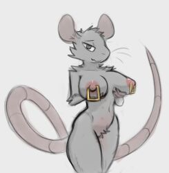 2022 anthro areola breasts female fur grey_body grey_eyes grey_fur hand_on_breast hi_res looking_at_viewer mammal mouse multi_nipple murid murine navel nipple_piercing nipples nude piercing portrait presenting rodent schmutzo simple_background solo three-quarter_portrait whiskers white_background