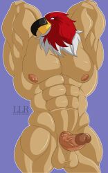 abs animal_head anthro avian balls barazoku beak biceps big_muscles bird digital_media_(artwork) erection fatal_fury feathers flexing for_a_head genitals hands_behind_back hi_res human humanoid_genitalia humanoid_penis king_of_fighters klr-rio male male_only mammal mask muscular muscular_male nipples not_furry nude pecs penis pose simple_background snk solo tizoc vein veiny_penis