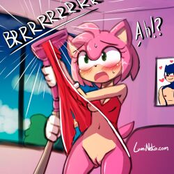 1girls 4_fingers accidental_exposure amy_rose blush bob_cut breasts distress dress eulipotyphlan female female_focus female_only fur furry gloves green_eyes heart hedgehog lumineko nipples no_bra no_panties painting pink_body pink_fur pink_hair pussy sega skinny small_breasts solo sonic_(series) sound_effects source_request standing sweat tail text upskirt vacuum_cleaner wardrobe_malfunction year_request