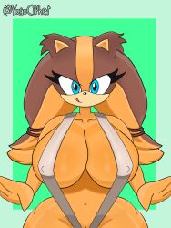 anthro big_breasts bikini bikini_lingerie sonic_(series) sonic_boom sticks_the_badger sticks_the_jungle_badger sticks_the_tejon v_bikini