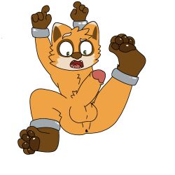 1boy 4_fingers 4_toes animal_ears anthro ass balls ballsack chains erection feet fur furry green_eyes nude orange_fur paws penis project_zomboid raccoon restrained sole_male spiffo suprised yellow_fur