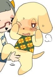 animal_crossing artist_request assisted_masturbation blush canine domestic_dog female golden_retriever goldie_(animal_crossing) nintendo pussy source_request villager_(animal_crossing) year_request