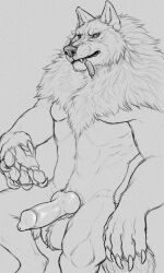 animal_genitalia animal_penis anthro balls canid canine canine_penis canis claws genitals hi_res knot looking_at_viewer male mammal monochrome muscular muscular_anthro muscular_male nude penis solo wolf yaroul