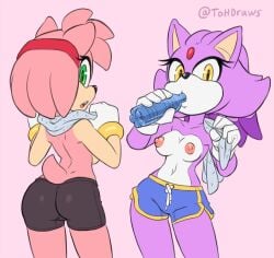 2girls amy_rose bike_shorts blaze_the_cat bottomwear breasts casual dolphin_shorts felid feline felis female female_only fur furry furry_only handwear looking_at_viewer partially_clothed pink_fur purple_fur running_shorts short_shorts shorts sonic_(series) sonic_the_hedgehog_(series) sportswear tail the_other_half topless two_tone_fur wristwear yoga_shorts