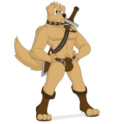 animal_genitalia anthro ball_bulge belt bird_dog boots briefs bulge canine cartoony clothing collar domestic_dog footwear fur genitals golden_retriever hands_on_hips happy hunting_dog male male_only mammal melee_weapon muscles muscular_male notkastar pecs penis_bulge retriever scabbard smile solo star sword underwear weapon