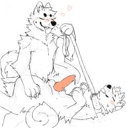 akita anal anal_orgasm anal_sex animal_genitalia animal_penis anthro anthro_on_anthro balls blush blush_lines bodily_fluids canid canine canine_penis canis claws collar collar_only cum cum_drip cum_in_ass cum_inside cum_while_penetrated curled_tail desertmotels digital_media_(artwork) digitigrade domestic_dog dripping duo ejaculation erect from_front_position genital_fluids genitals heart hi_res holding_leash holding_object knot leash leash_pull lying male male/male male_penetrated male_penetrating male_penetrating_male mammal missionary_position neck_tuft nude on_back paws penetration penis pink_penis raised_leg saliva sex sketch spitz spread_legs spreading standing sweat teeth tongue tongue_out tuft werewolfcowboy