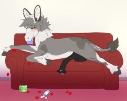 2025 animal_genitalia animal_penis asinus balls big_balls big_penis black_balls black_penis blush bodily_fluids cheek_tuft condom condom_in_mouth condom_wrapper cum cum_on_penis donkey equid equine equine_genitalia equine_penis facial_tuft feral flared_penis flicker_(wasd65) fluffy_ears fluffy_mane fur furniture genital_fluids genitals grey_body grey_fur gushoafterdark hi_res hooves inside looking_back lounging lying lying_on_sofa male mammal mane medial_ring mouth_hold neck_tuft object_in_mouth on_front on_sofa penis petals rose_petals sexual_barrier_device sofa solo tail tail_tuft tuft white_body white_fur