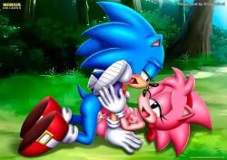 1boy 1girls amy_rose anthro bbmbbf blush breasts classic_amy_rose classic_sonic cum female male male/female mobian_(species) mobius_unleashed nipples nude one_eye_closed open_mouth palcomix penis pillow_shading pussy sega sex small_breasts sonic_(series) sonic_cd sonic_the_hedgehog sonic_the_hedgehog_(series) tongue vaginal_penetration vaginal_penetration vaginal_sex