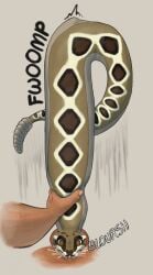 2024 absurd_res balls bodily_fluids brown_body brown_eyes brown_scales colored cum cum_inside digital_drawing_(artwork) digital_media_(artwork) duo english_description eyelashes fellatio female female_(lore) female_feral female_on_human female_penetrated feral feral_penetrated first_person_view fwoomp genital_fluids genitals grey_background hi_res holding_another holding_by_neck human human_on_feral human_penetrating human_penetrating_female human_penetrating_feral human_pov inflation interspecies jackiethedoodler light lighting long_tail looking_at_viewer male male/female male_human male_on_feral male_penetrating male_penetrating_female male_penetrating_feral male_pov mammal multicolored_body multicolored_scales onomatopoeia oral oral_penetration penetrating_pov penetration penile penile_penetration penis penis_in_mouth pit_viper rattlesnake reptile scales scalie sex shaded simple_background snake sound_effects story story_in_description surprised swelling tail tan_balls tan_penis text viper white_body white_scales zoophilia