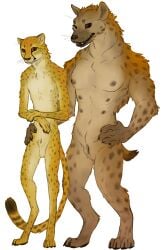4_toes 5_fingers animal_genitalia anthro anthro_on_anthro balls black_nose breasts brown_body brown_fur cheetah duo fangs feet felid feline female femboy fingers fur genitals hi_res hindpaw humanoid_hands hyena interspecies kendi_(peregr1ne) larger_female male male/female mammal markings melaku_(peregr1ne) multi_nipple muscular muscular_anthro muscular_female navel nipples nude nude_anthro nude_female nude_male paws peregr1ne pussy sheath size_difference smaller_male smile spots spotted_body spotted_fur spotted_hyena standing tail teeth toes vulva yellow_body yellow_fur