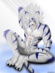Kogenta Rule 34 Image